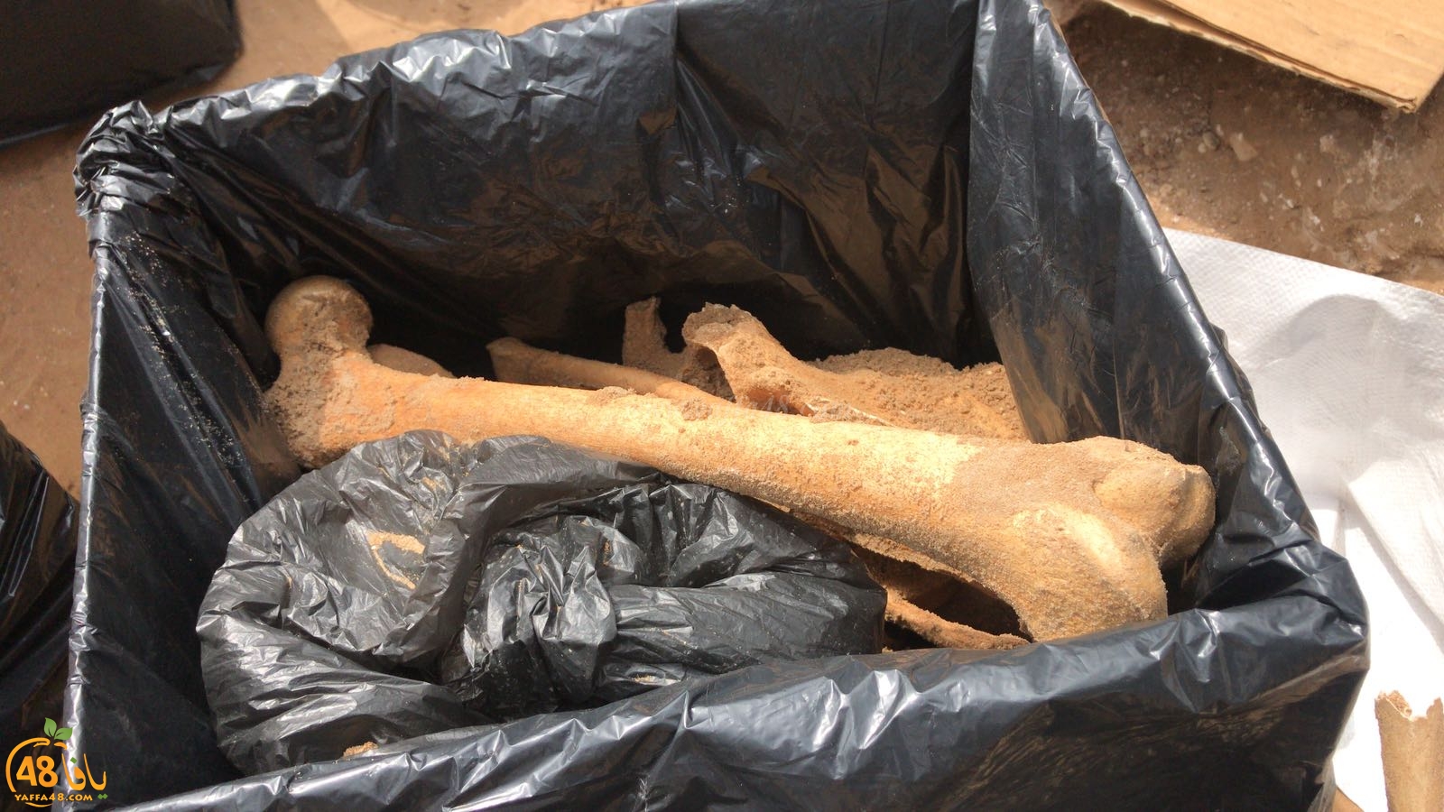 WhatsApp Image 2020-06-17 at 9.30.49 AM (2).jpeg.jpg.jpg